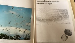 Boek - Het Zwin - De natuur en vogel-reservaten