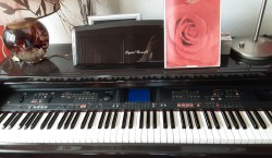 Technics digitale piano 