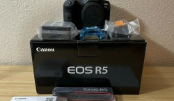  Canon EOS R5, Canon EOS R6 , Nikon Z 7II , Sony Alpha A7R IV, Sony Alpha A7R III Mirrorless Camera, Nikon D850, Nikon D